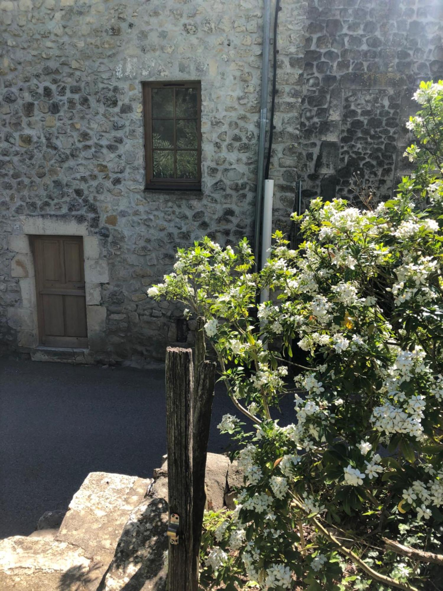 Gite Des Pins Saint-Maurice-d'Ibie Bagian luar foto