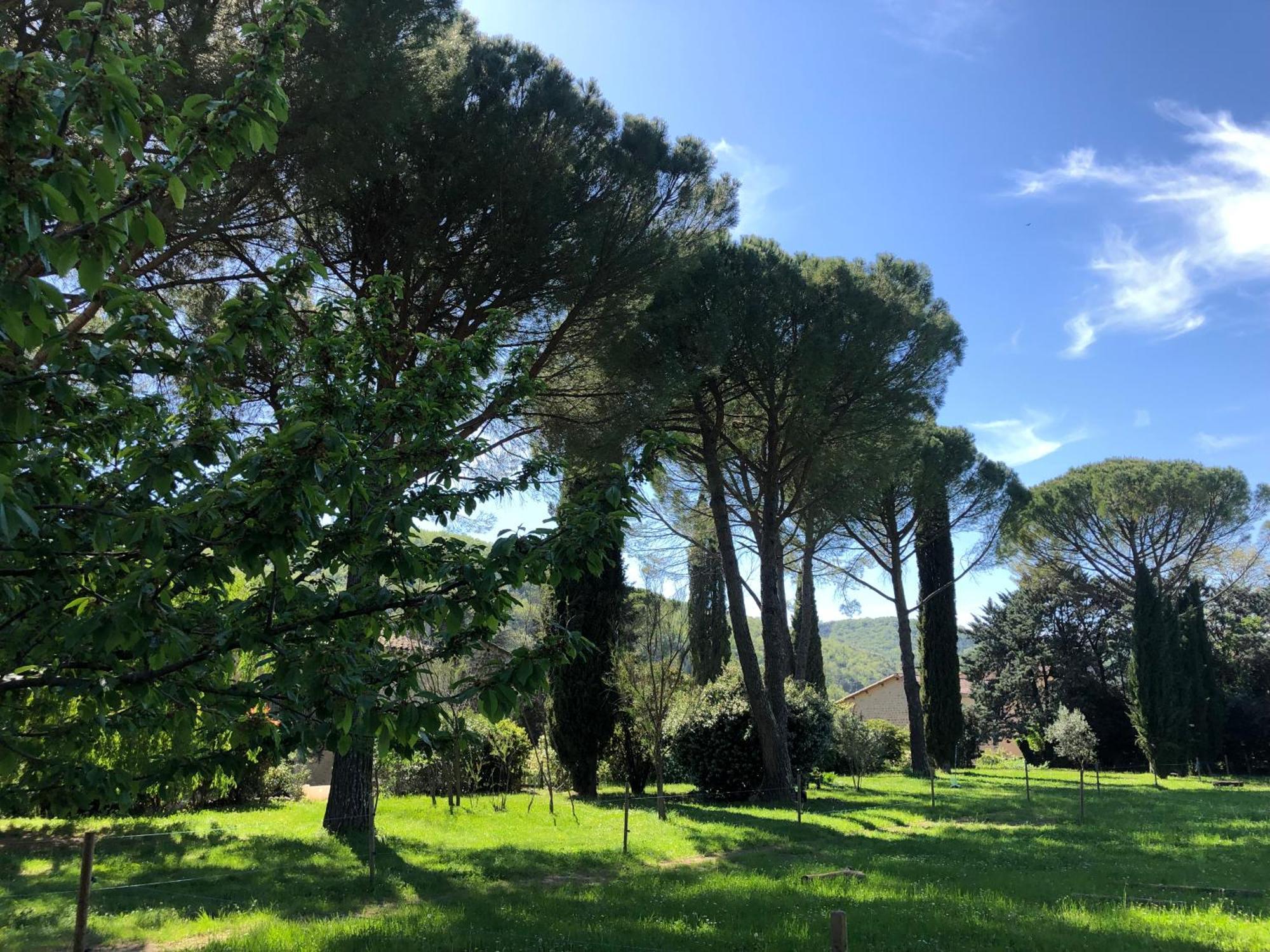 Gite Des Pins Saint-Maurice-d'Ibie Bagian luar foto