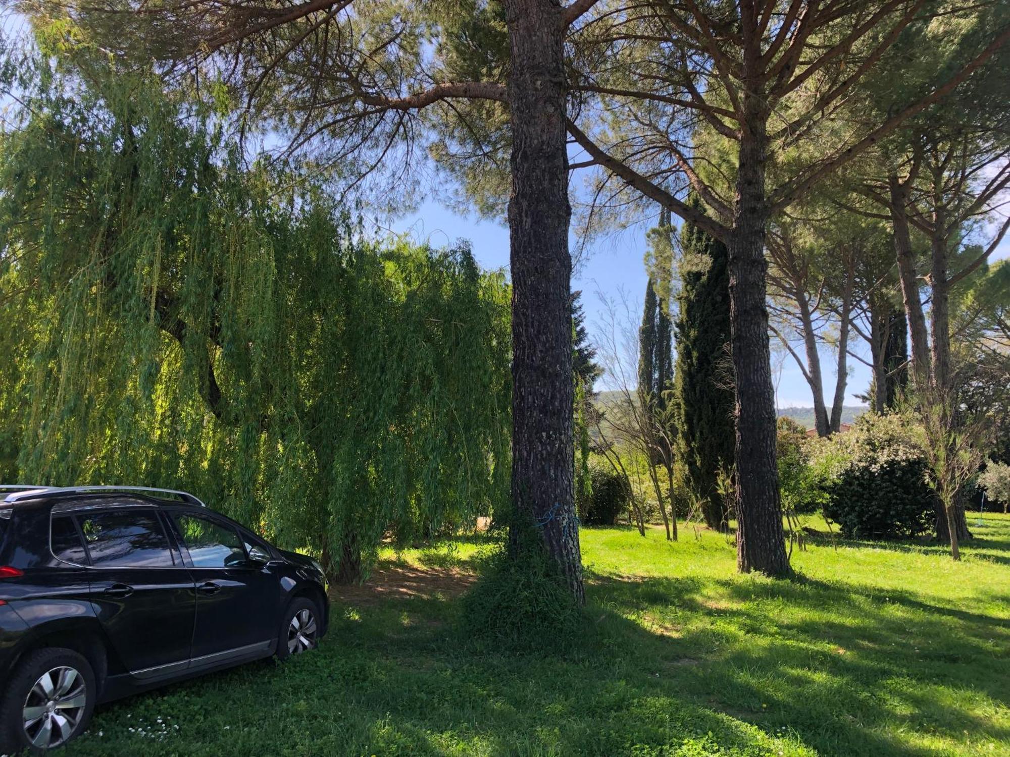 Gite Des Pins Saint-Maurice-d'Ibie Bagian luar foto