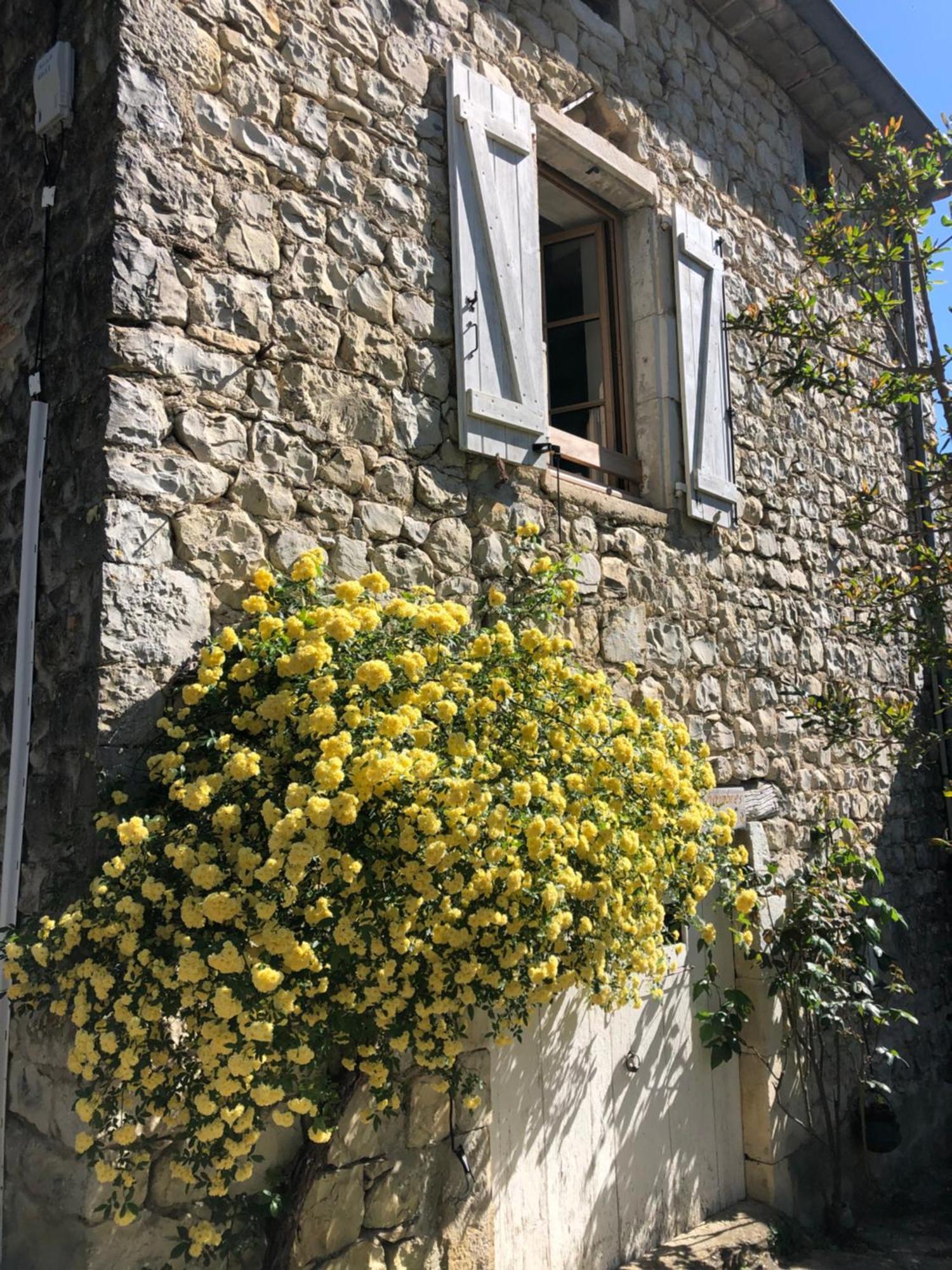 Gite Des Pins Saint-Maurice-d'Ibie Bagian luar foto